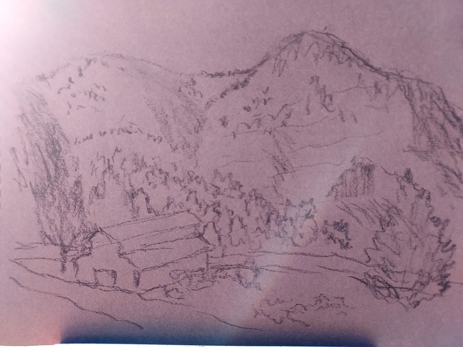 Next Picture